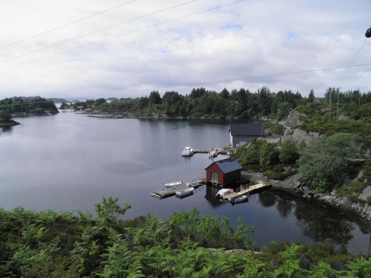 Fjellheim Holiday home *